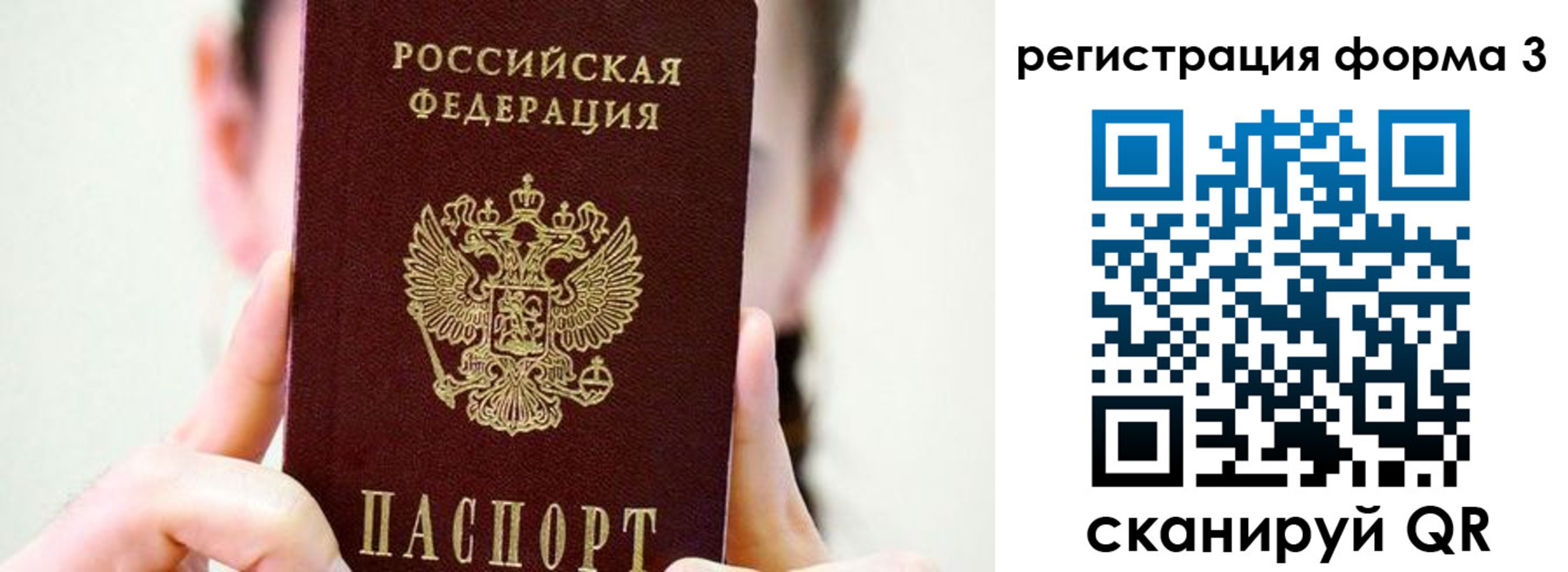 прописка штамп в Гвардейске